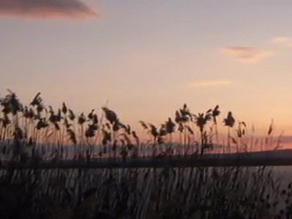 Dostum Dostum--(T.H.M)--Mehmet ERARABACI