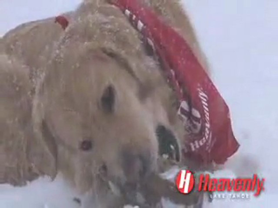 11/11/07 Snow is Falling @ Heavenly