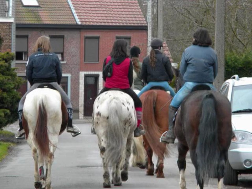 13 février 2011