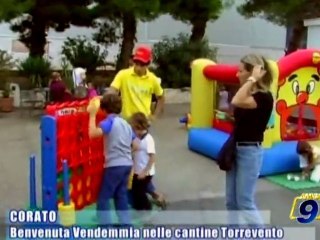 TORREVENTO | Benvenuta Vendemmia 2010 - Corato