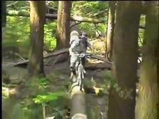 North Shore History X