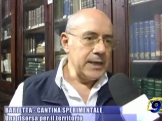 BARLETTA - CANTINA SPERIMENTALE | Una risorsa per il territorio