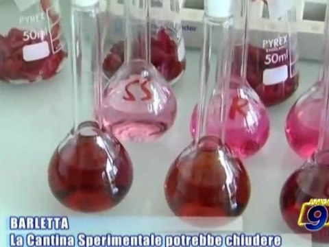 BARLETTA | La Cantina Sperimentale potrebbe chiudere