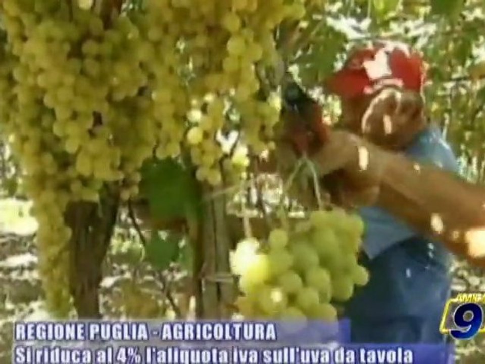 REGIONE PUGLIA | Agricoltura: si riduca al 4% l'aliquota iva sull'uva da tavola