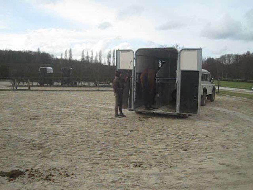 14.02.2011 Delphine