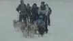 Sleddogs in Zermatt: dogsleds, ski-joring and kicksled