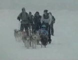 Sleddogs in Zermatt: dogsleds, ski-joring and kicksled
