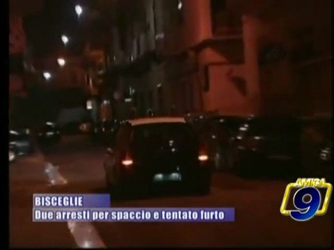 BISCEGLIE | Due arresti per spaccio e tentato furto