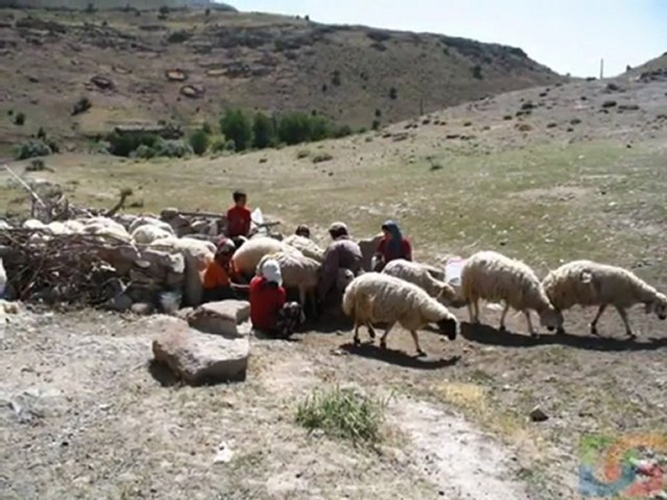 Cemal Öztaş - Olmaz Olsun (2010 Albümü)