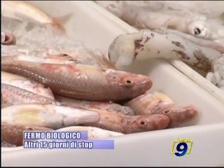 FERMO BIOLOGICO | Altri 15 giorni di stop