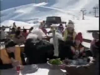 Skiing Ostrich