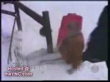 skiing wipeouts