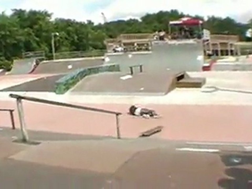 Wild In The Parks stop #8 - Jacksonville, Florida