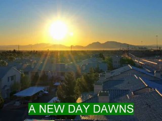 Emu Oil Skin Care & Pain Relief