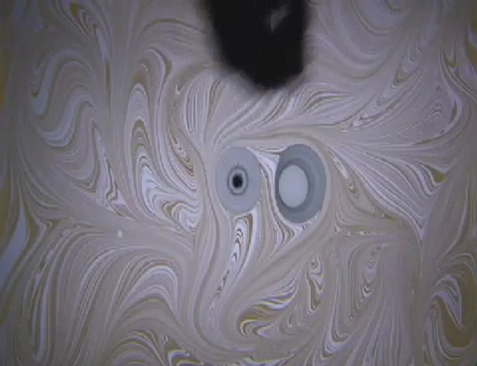 Ottoman-Turkish Islamic art of Marbling (Ebru)