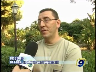 BISCEGLIE | BAT BOX, un rifugio per i pipistrelli
