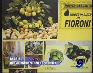 ANDRIA | Nuove frontiere dell'agricoltura