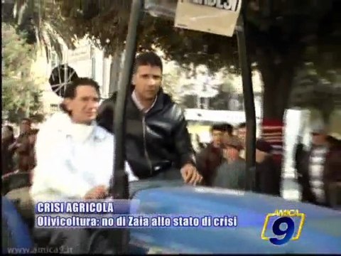 CRISI AGRICOLA | Olivicoltura: no di Zaia allo stato di crisi