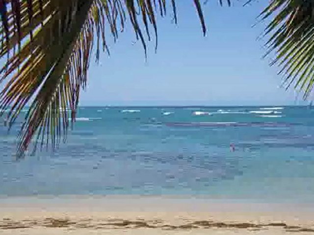 Trade Stocks Online (Free Master Trader Presentation)