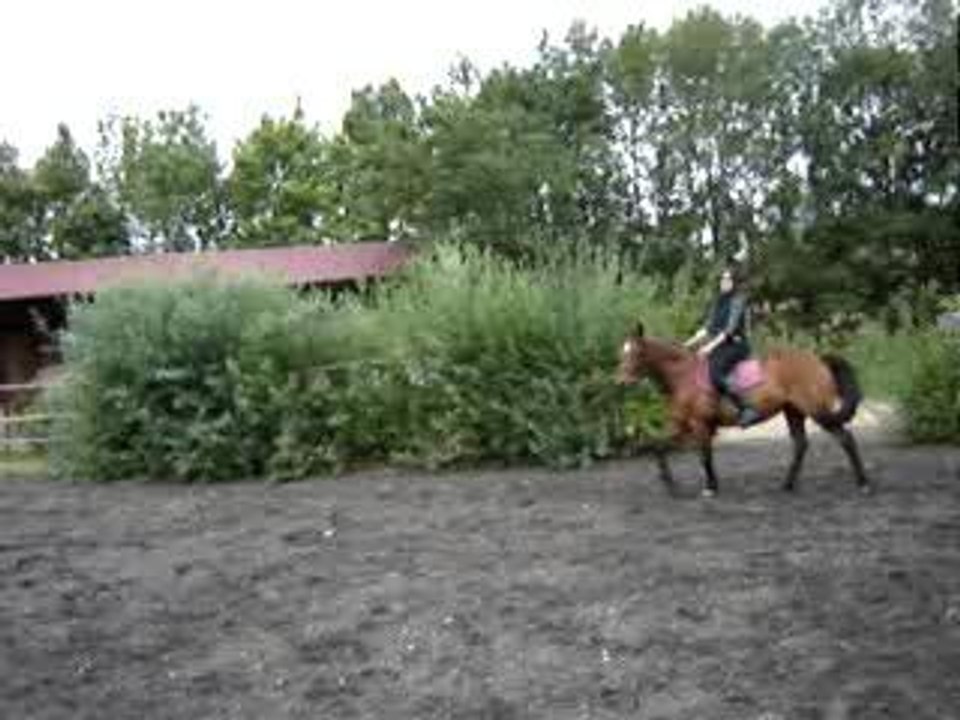 Pouic