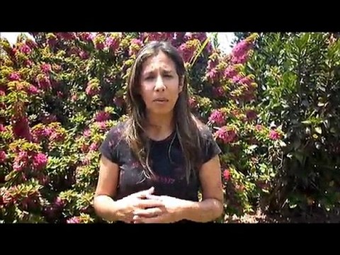 flores peru,flores en peru, .FloresEnPeru.com-F