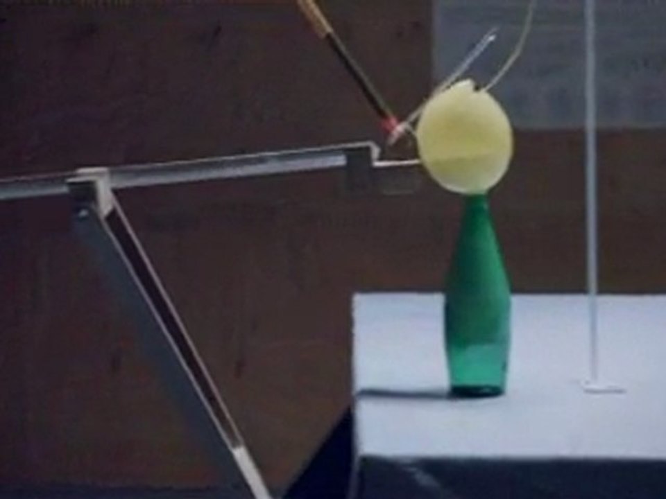 Presenting the Google Science Fair