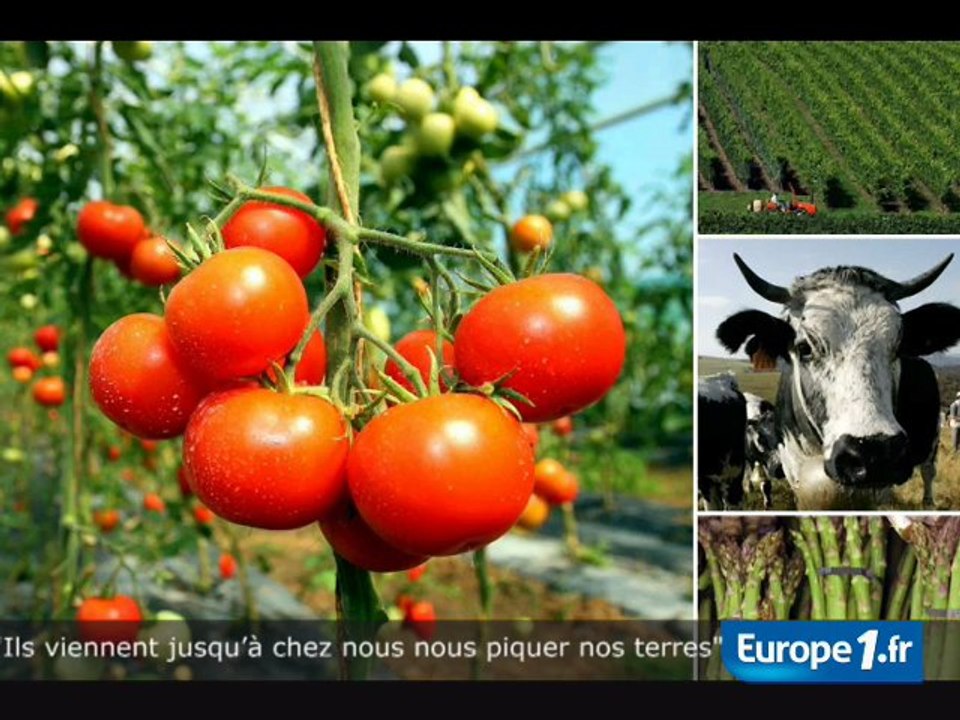 Quand les Allemands cultivent l'Alsace