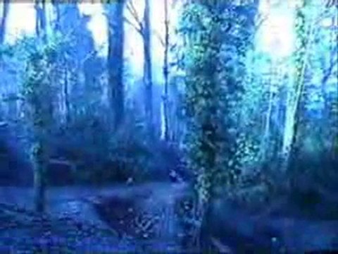 mountain biking- free ride, jumping, bike park