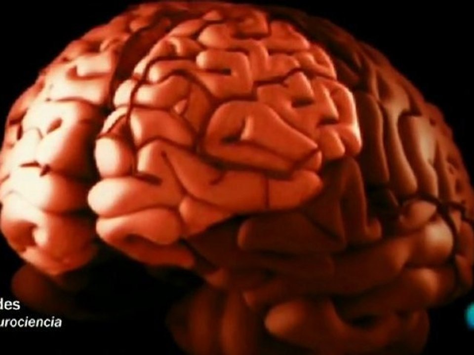 Neuromarketing: La compra inconsciente
