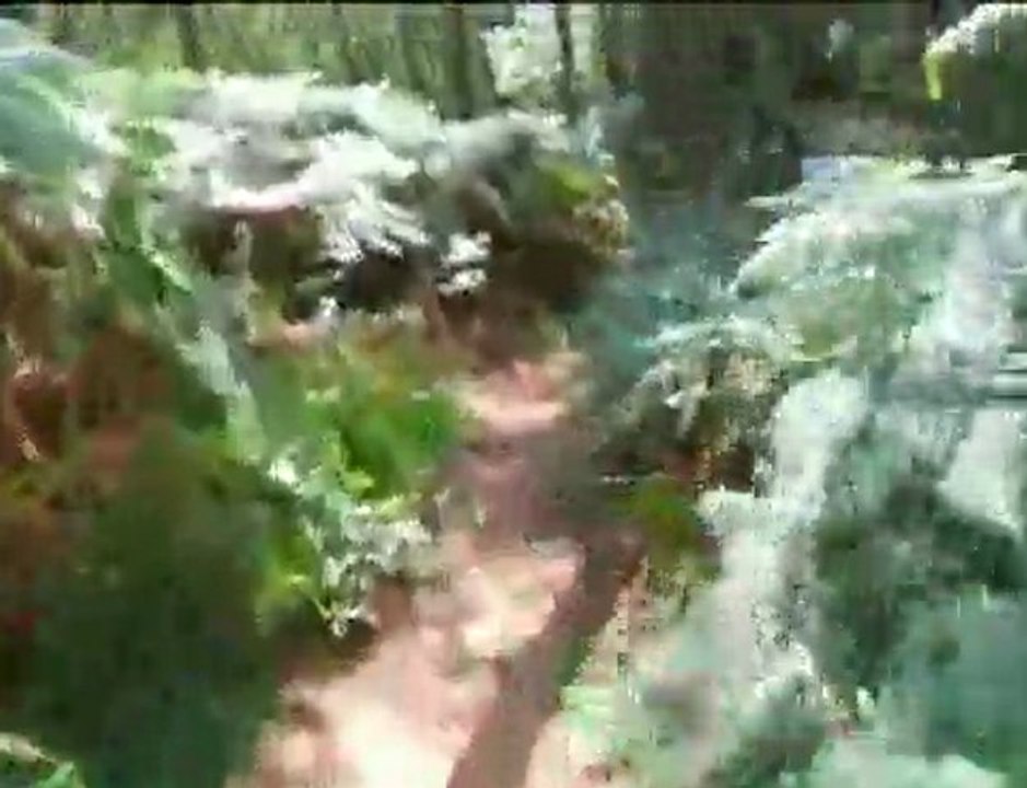 Cwm Track- Duane chasing Tom