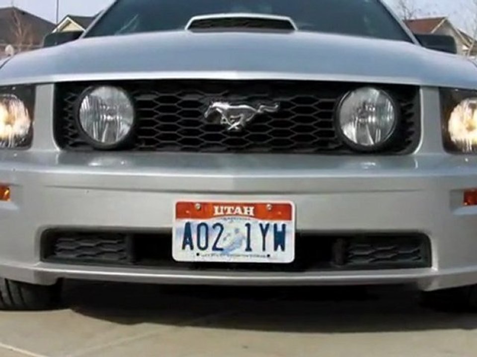 Stack Racing Lower Grille Kit for 05-09 Mustang