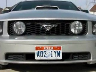Stack Racing Upper Grille 05-09 Mustang kit