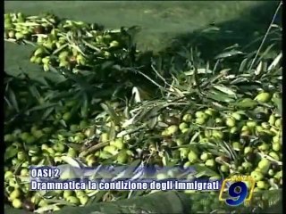 TRANI - OASI 2, drammatica la condizione degli immigrati