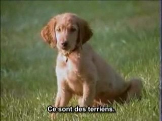 EARTHLINGS_TERRIENS 5.5