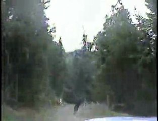 Upper A-Line, Whistler 2007