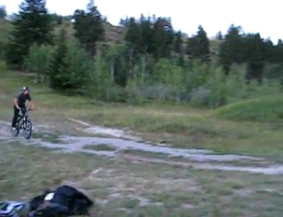 tailwhip