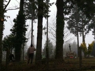 Coupe des sapins: "Tracteurs, tracto et élévateur"