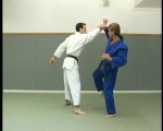 Maitriser le jujitsu - Techniques et progression