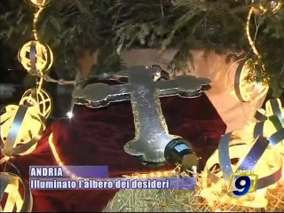 ANDRIA. Illuminato l'albero dei desideri