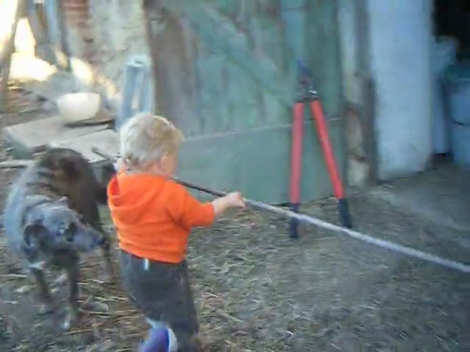 Saut à la perche dans le foin