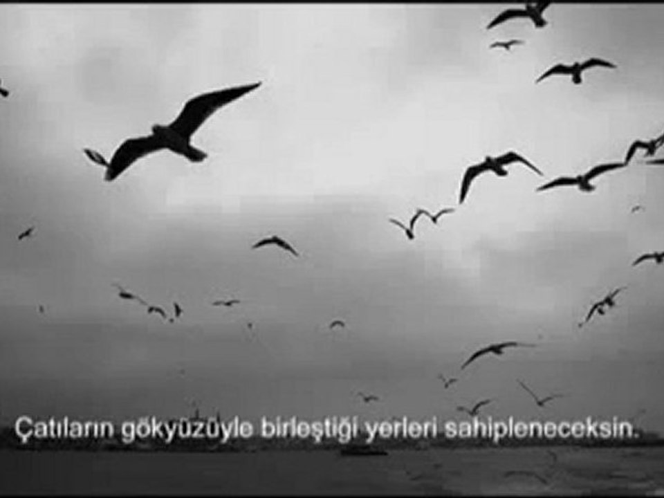 Can Yücel - Bağlanmayacaksın