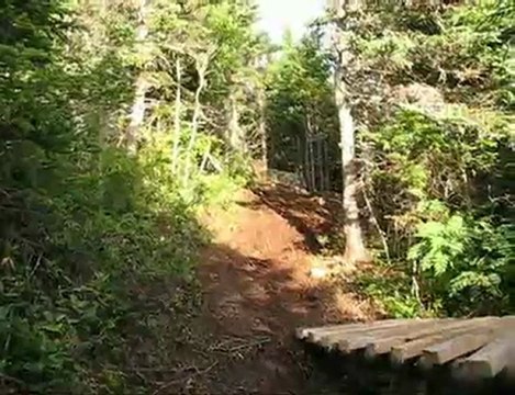 Shae Heights DH Trail Riding