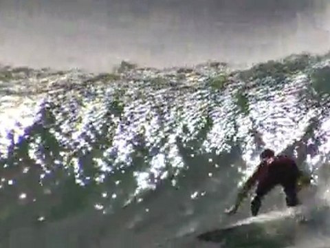 Kelly Slater 9 time ASP World Champion