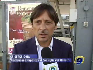 CRISI AGRICOLA.  Si attendono risposte dal Consiglio dei Ministri