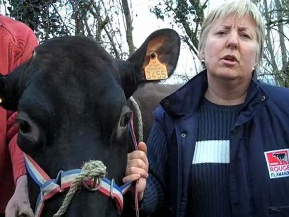Edith Macke, éleveur de vaches Rouge Flamande à Cassel