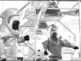 Black Flower Child  - Protocol EX -( The Crazies.)