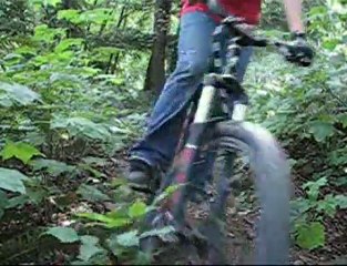 Short Vid