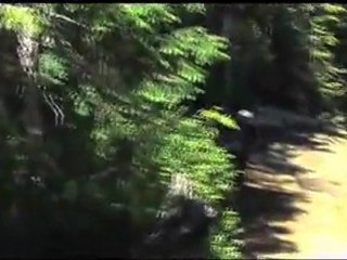 Cyclemob, Whistler 2007