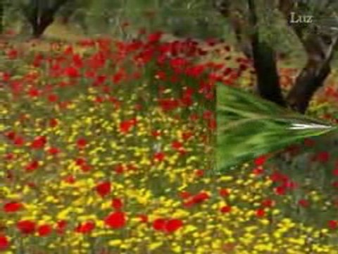 Can Yücel - Ateş ile suyun hikayesi