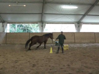 15.02.2011 Degré 2 Ténébra